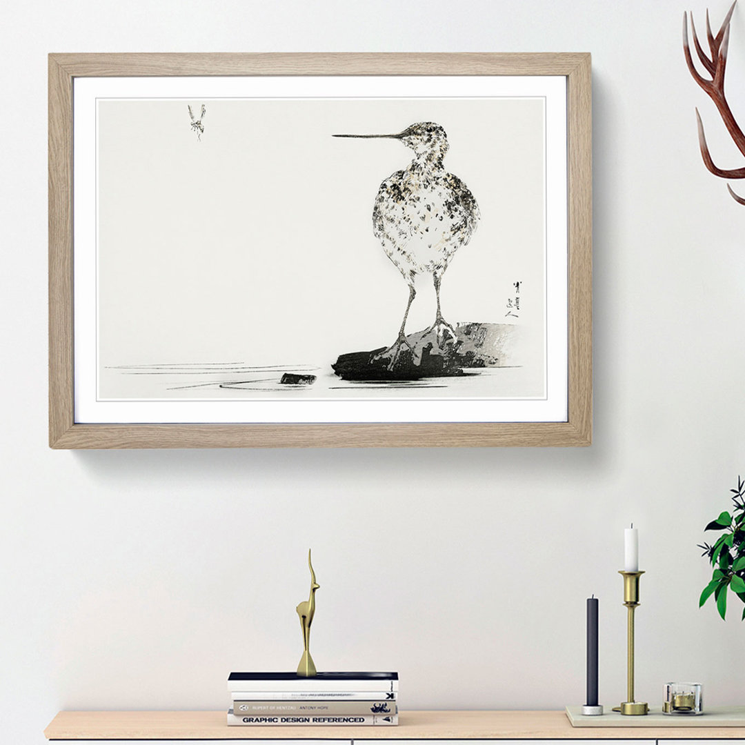 Common Snipe Bird by Watanabe Seitei - Picture Frame Painting Print