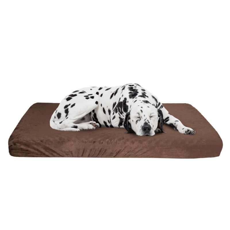 Orthopedic Memory Foam Pet Bed, Large (27" W x 46" D x 4" H), Brown