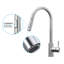 Belfry Bathroom Gaelan Pull Out Kitchen Faucet