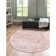 Boyland Oriental Indoor Rug