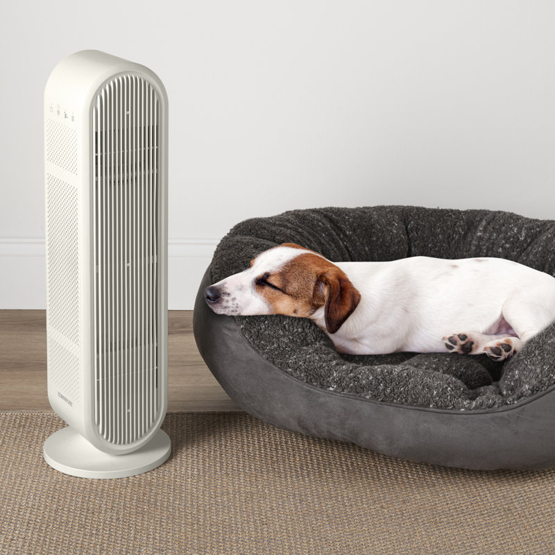 Conair Medium Room Air Purifier