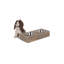 Jaelynn Dog Feeding Station with Bowls