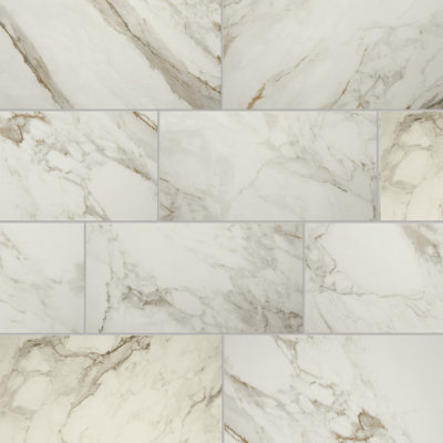 Daltile Famed 12" x 24" Polished Porcelain Wall & Floor Tile (9 PCS Per Carton) (17.01 SQFT Per Carton)