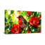 Animaux oiseaux perchés parmi des fleurs rouges et des feuilles vertes-1065008735