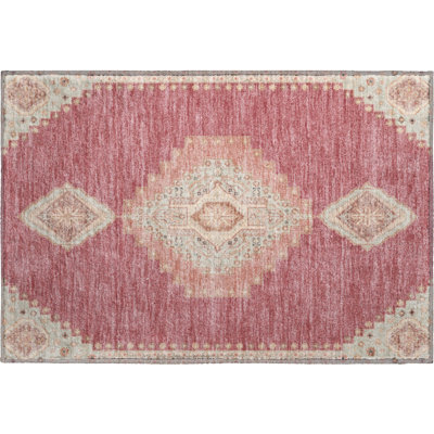 Premium Machine Washable Colmenero AMF1014 Oriental Rug