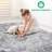 Area Rug, Collection Grey / Blue / Traditional-30601485