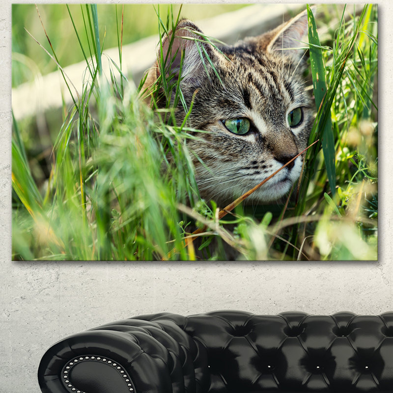 «Lovely Kitten in Grass», reproduction de photo sur toile tendue, H 12 po x l 20 po