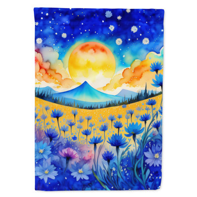 Double Sided 40'' H x 28'' W Polyester House Flag