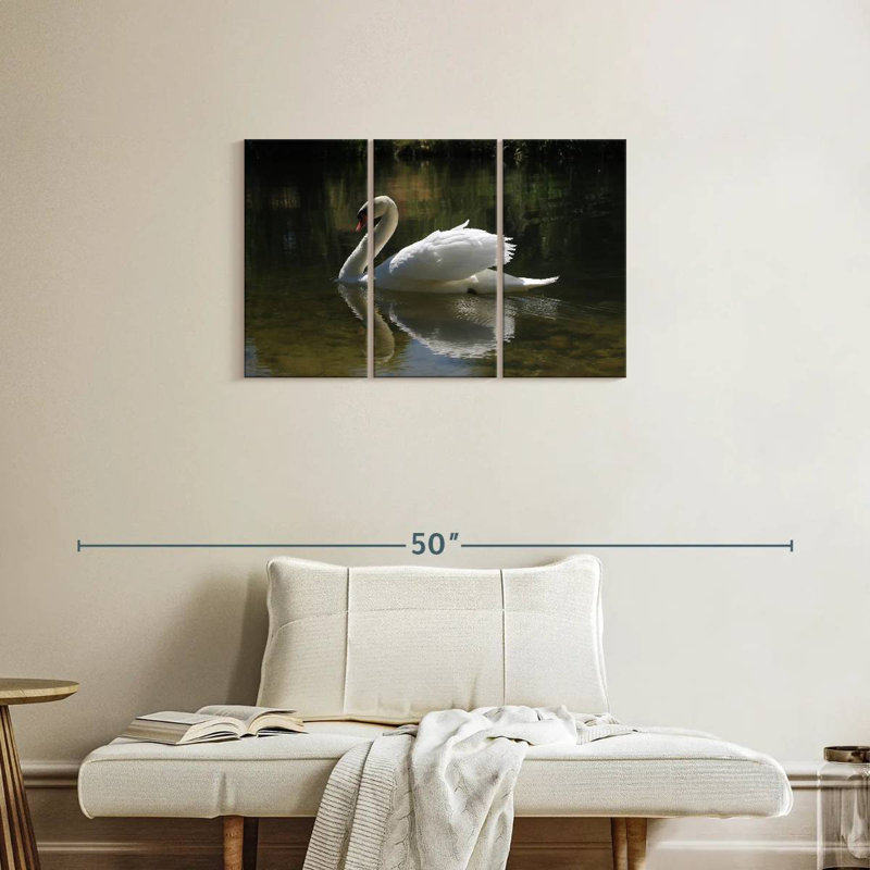 Swan Lake Reflection, 20" H x 33" W