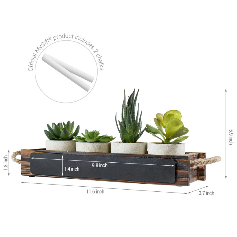 4 - Piece Artificial Succulent Plant in Planter Set