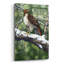 «Red Tailed Hawk» par William Vanderdasson, art mural en verre acrylique-1702003980
