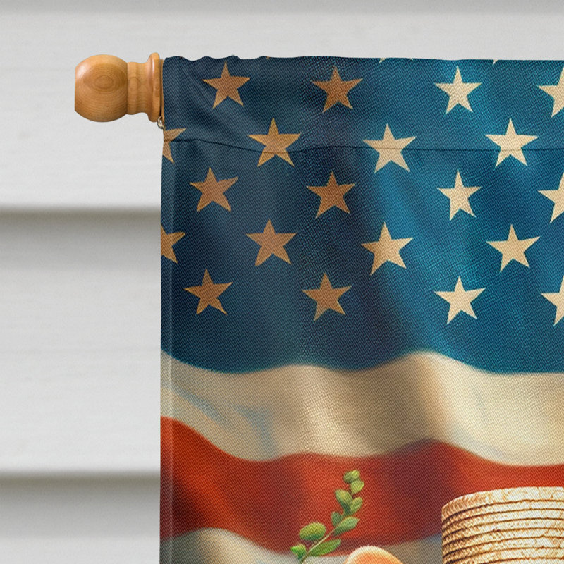 Drapeau «All American House», Corgi blond