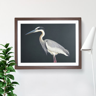 Awesome Heron Bird - Framed Print