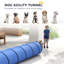 Dog Agility-124016485