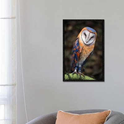 Cute Owl by Ben Heine - Print on Canvas