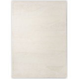 Decor Hand Tufted Wool Area Rug in Beige
