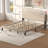 Upholstered Panel Bed with Nailed Headboard-922086678-922086680