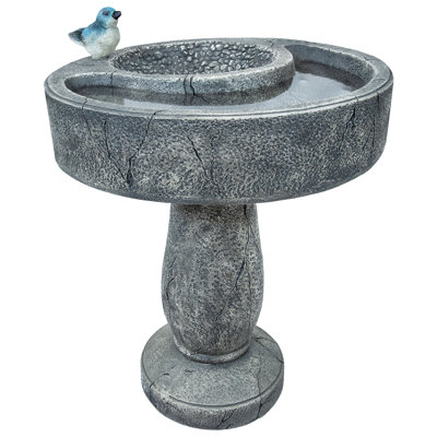 Daliylah Traditional Freestanding Polyresin Outdoor Bird Bath with Feeder Compartment