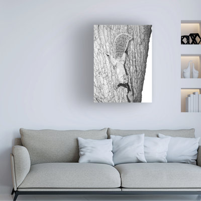 Art sur toile «ologic »