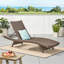 Chaise longue d'extérieur - Pe avec structure en aluminium, sans assemblage requis, P 79,25 po x l 26,86 po, H 14,71 po