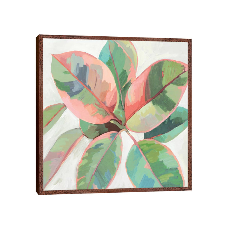 Pink Ficus II by Asia Jensen - Painting on Canvas, 45.72cm H x 45.72cm W x 3.81cm D, Classic Brown Wood Framed