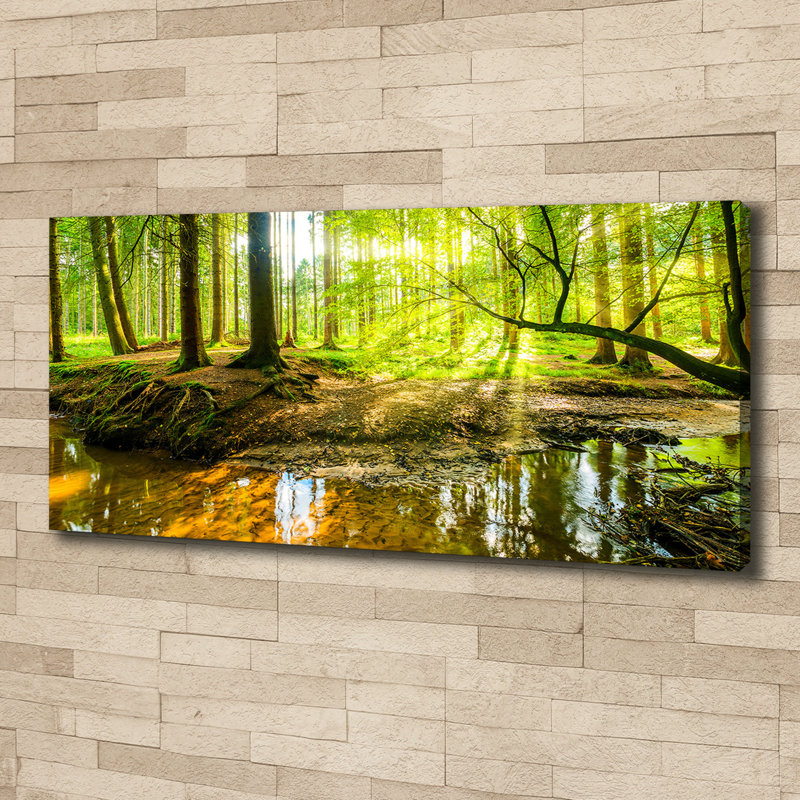 A Waterfall In The Forest - Wrapped Canvas Print, 50cm H x 125cm W x 2cm D, Canvas