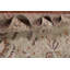 Tapis vert clair All-Over Oushak 9 x 12