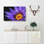 Purple Water Lily - Wrapped Canvas-56630161