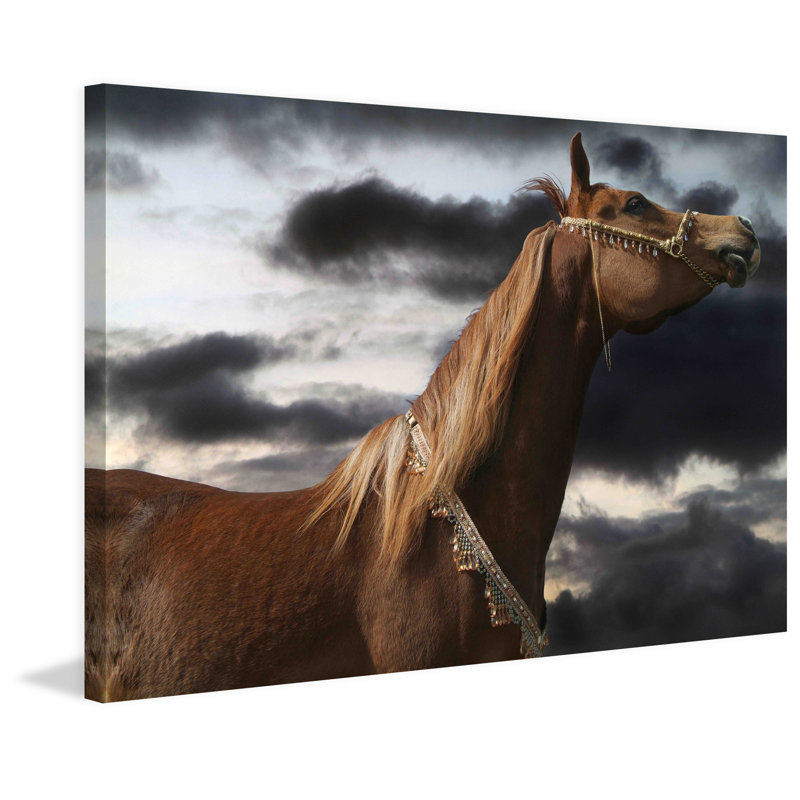 Rehannah by Maggie Dee - Wrapped Canvas Print, 102 cm H x 152 cm W