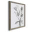 Charcoal Foliage II - Impression de cadre photo sur papier-1359303427-1359303460