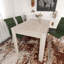 Haerr Rectangular Dining Table-1097528234