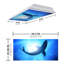 Couvre-lampes fluorescents pour salle de classe Ocean - pour luminaire 2 x 4 - par Octo Lights