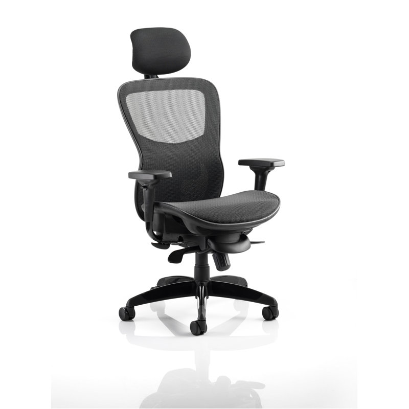 Office Chair with Headrest