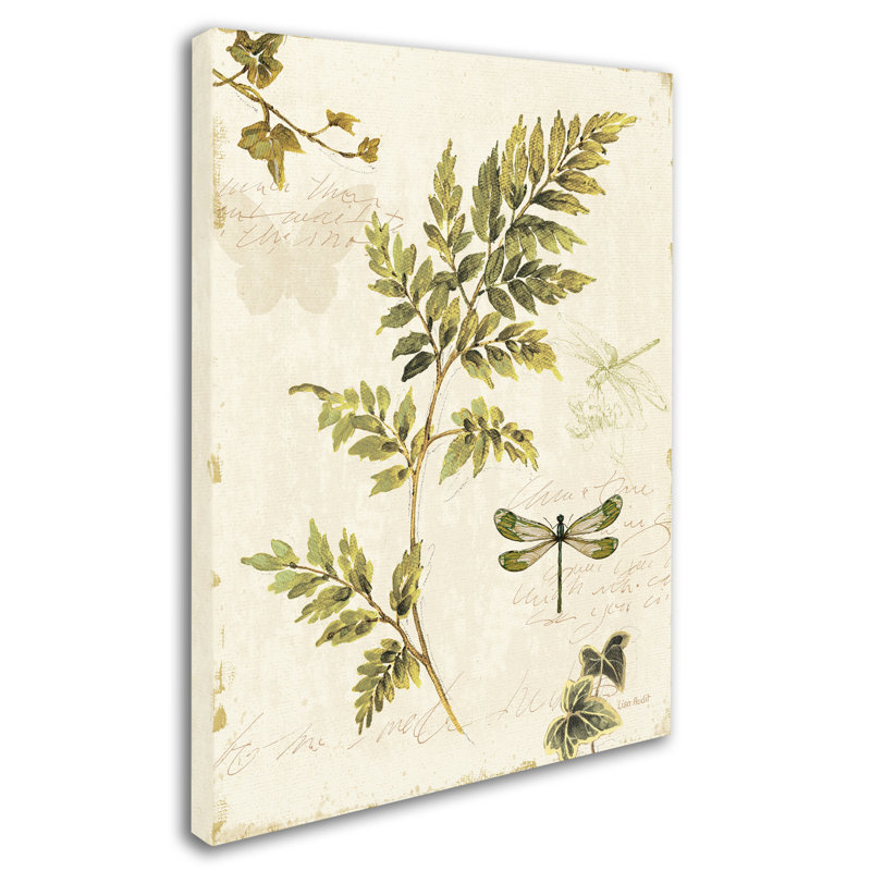 "Ivies and Ferns III" par Lisa Audit, reproduction d'art sur toile tendue, H 24 po x l 18 po x P 2 po