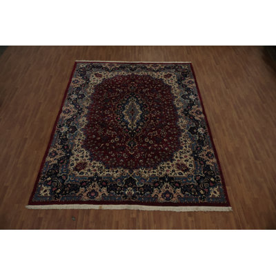 Traditional Area Rug 10x13