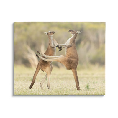 «Kangaroo Duo» par Lea Scaddan