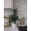 SEASONAL GREENERY TREE S/2 CEDAR POT 2FT-1604586734