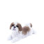 Statue d'un shih tzu allongé-1058368217