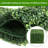2 ft. H x 2 ft. W Artificial Topiary Polyethylene Privacy Screen