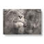 Pair Of Loving Lions - Wrapped Canvas-56641080