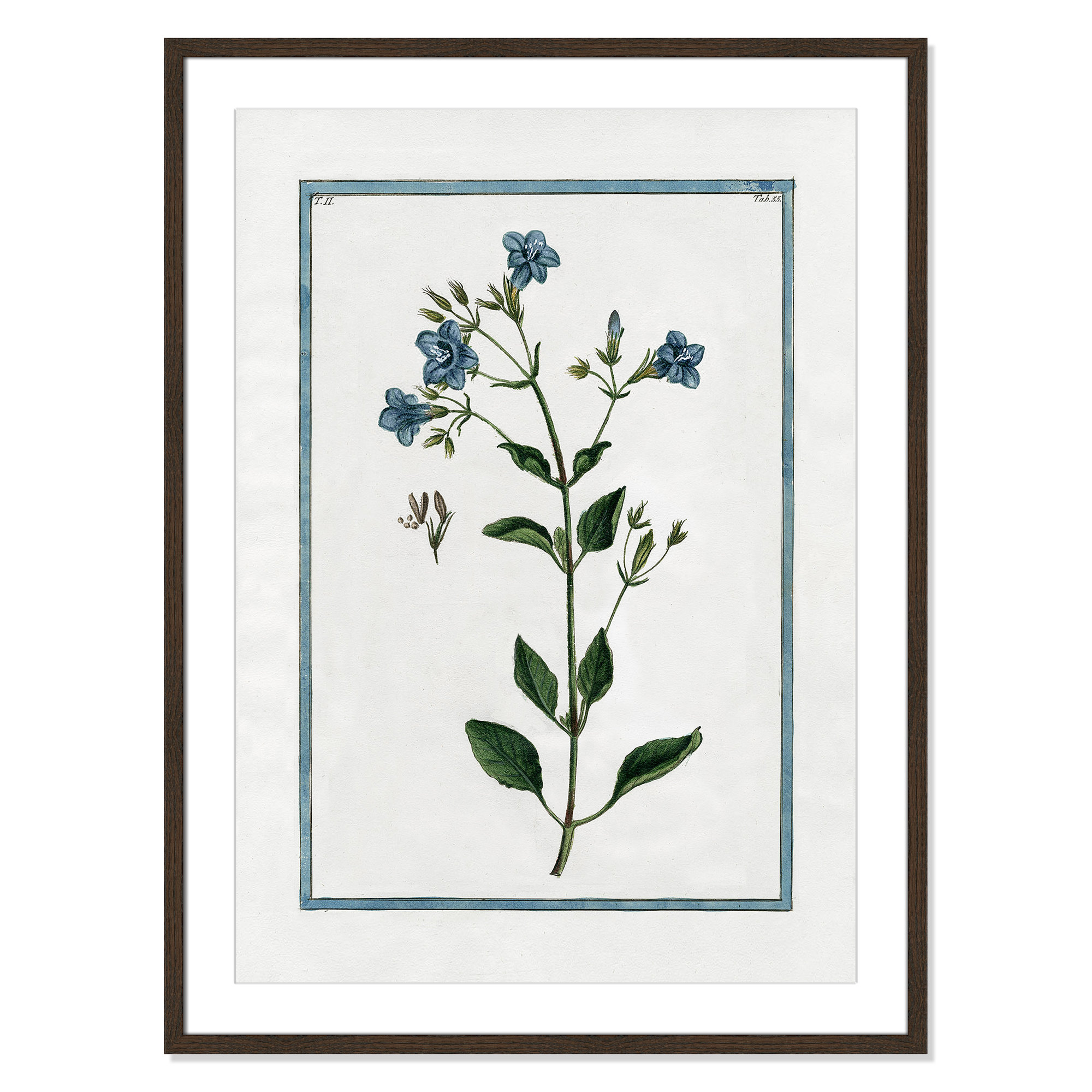 Shabby Elegance Botanical II - Framed Art, 25.5" W x 35.5" H, Walnut Framed