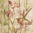 Orchids I Crop by Cheri Blum-1894833697