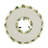 Coastal Seashell Wreath - 17"