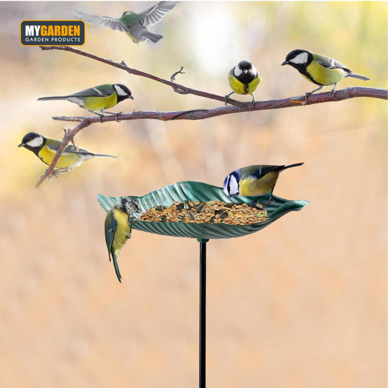 Metal Single Tier Birdbath
