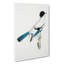 Almorah Jay - Wrapped Canvas-55368792