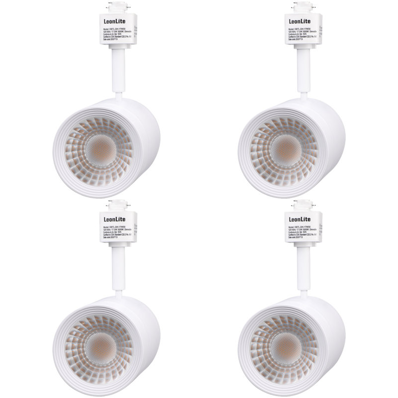White LED Adjustable Track Head