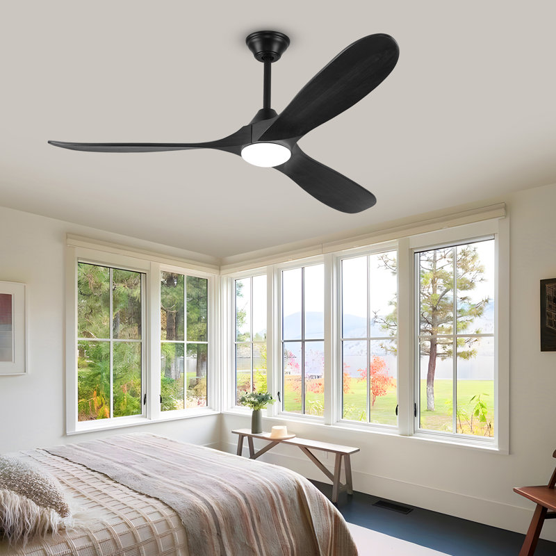 Ceiling Fan with LED Lights, 132cm, Black