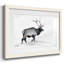 Lone Bull encadré sur papier-770959340-770959343