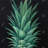 Pineapple Leaves - Kitchen Floral Canvas for Home Decor