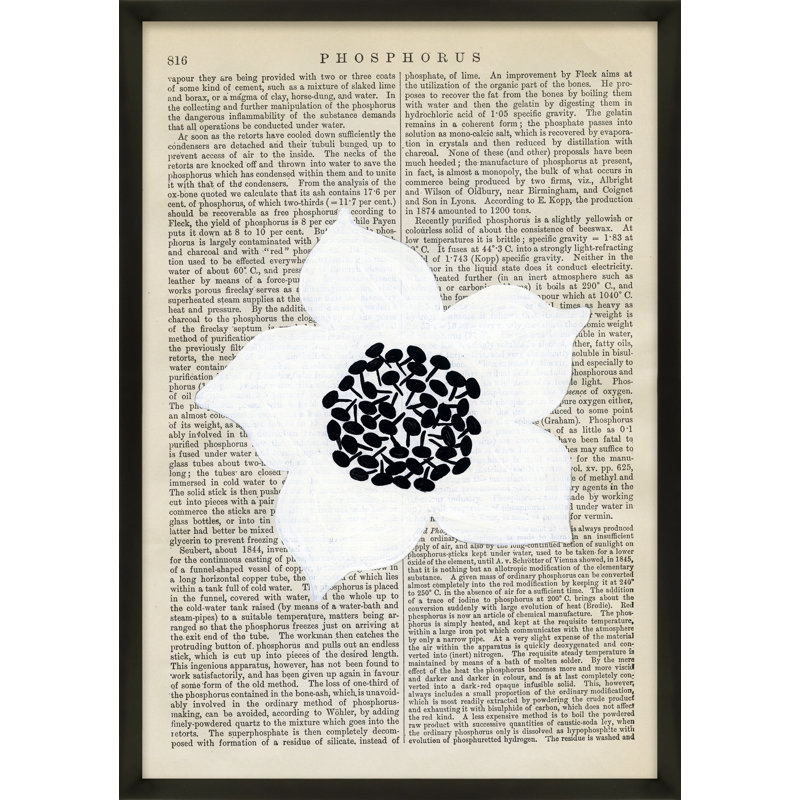 Phosphorus Print by Michela Sorrentino, 20" H x 14" W x 1.25" D, Black Wood
